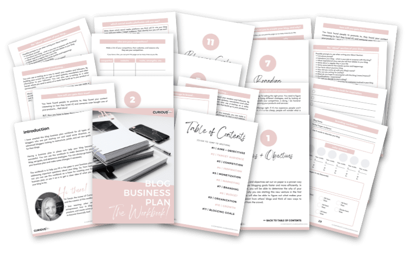 Blog Business Plan by CuriousFem - Tanya Viljoen - Image 1
